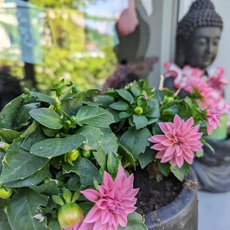 Apartment Heideway Komplette Frei Parken Anbindung A46 Wuppertal