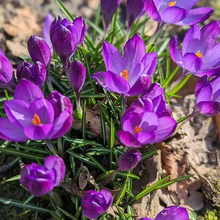 Heideway Komplette Frei Parken Anbindung A46 Wuppertal