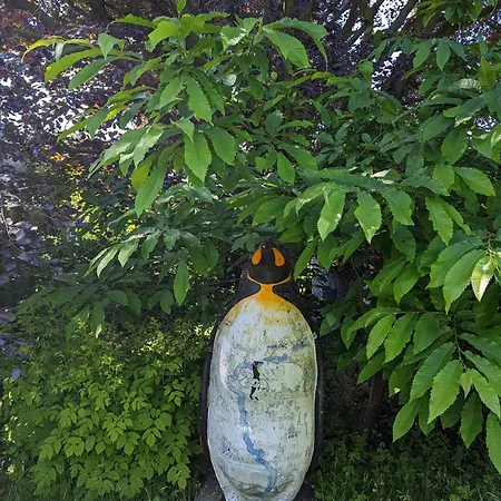 Heideway Komplette Frei Parken Anbindung A46 Apartamento