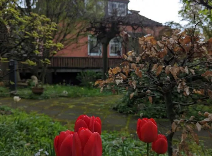 Lägenhet Heideway Komplette Frei Parken Anbindung A46