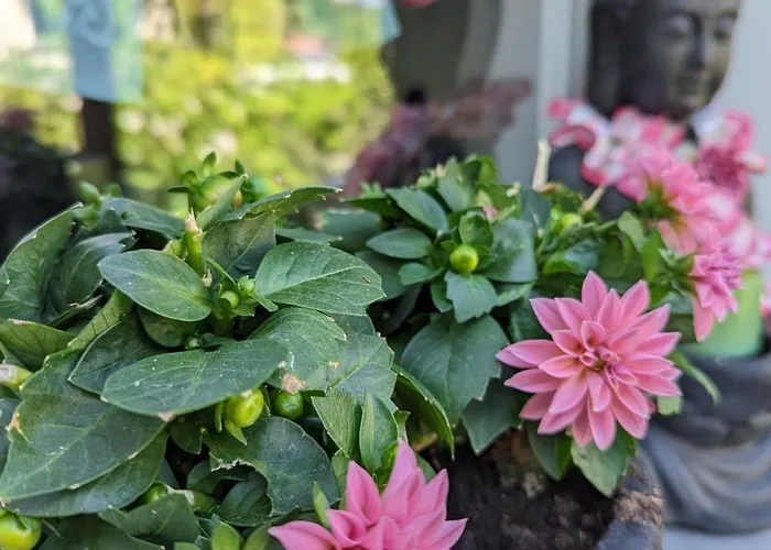 Apartment Heideway Komplette Frei Parken Anbindung A46 Wuppertal