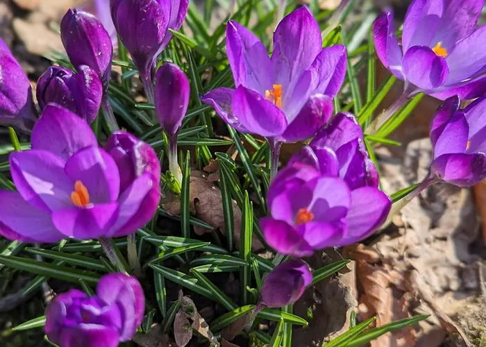 Heideway Komplette Frei Parken Anbindung A46 Wuppertal