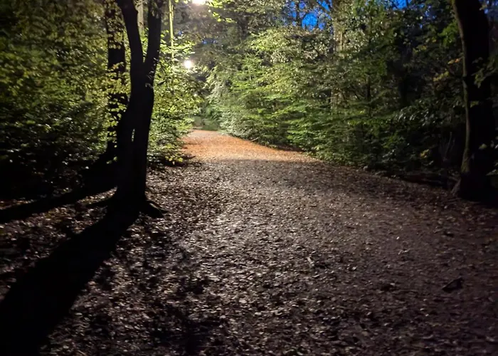 Lägenhet Heideway Komplette Frei Parken Anbindung A46 Wuppertal